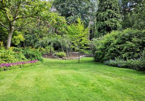 Optimiser l'expérience du jardin à Lavancia-Epercy